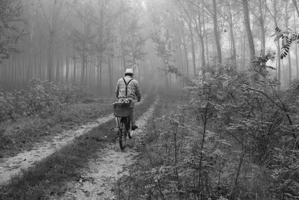 Foto in bianco e nero di un uomo in bicicletta in un bosco nebbioso